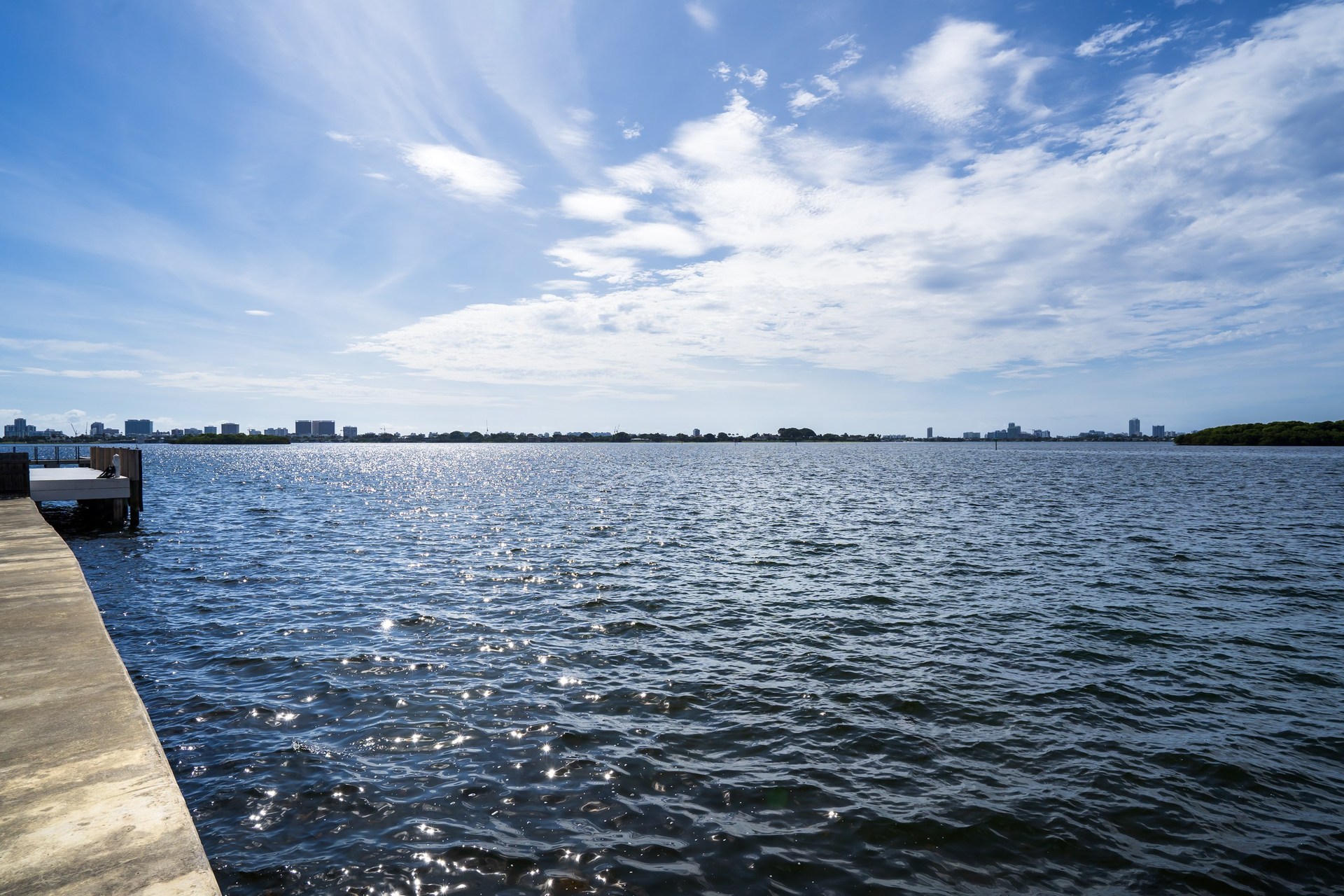 Plate 11 — Bayfront Estate, Miami
