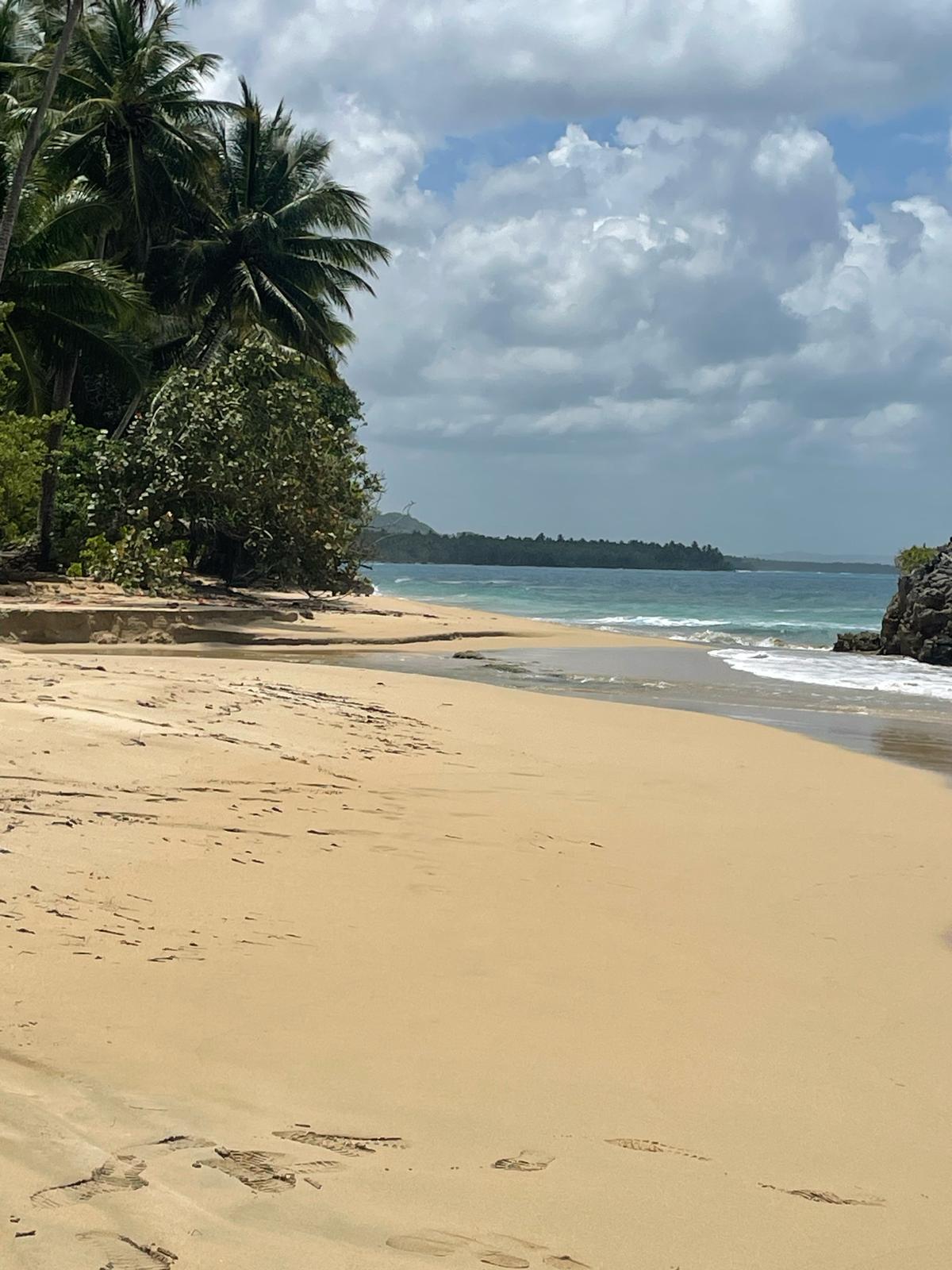 Gaspar Hernández · Playa Magante