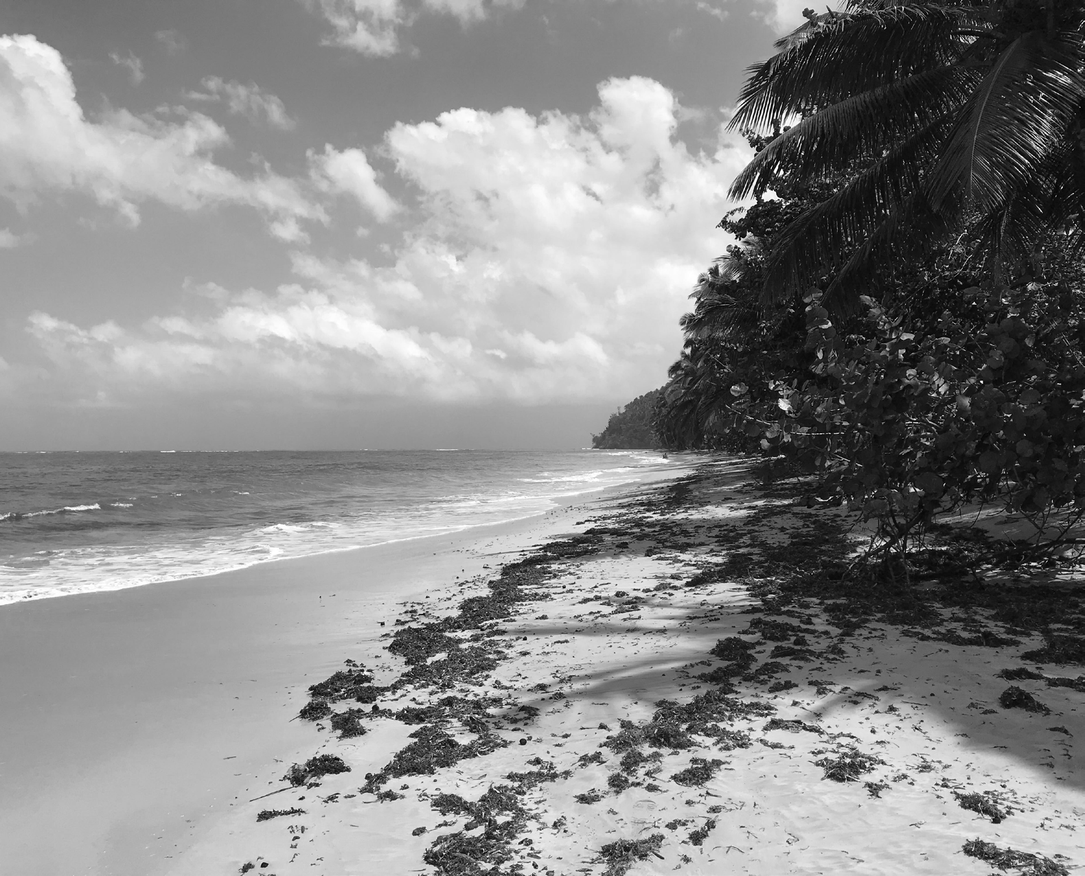Terre De Semana · Playa Jackson